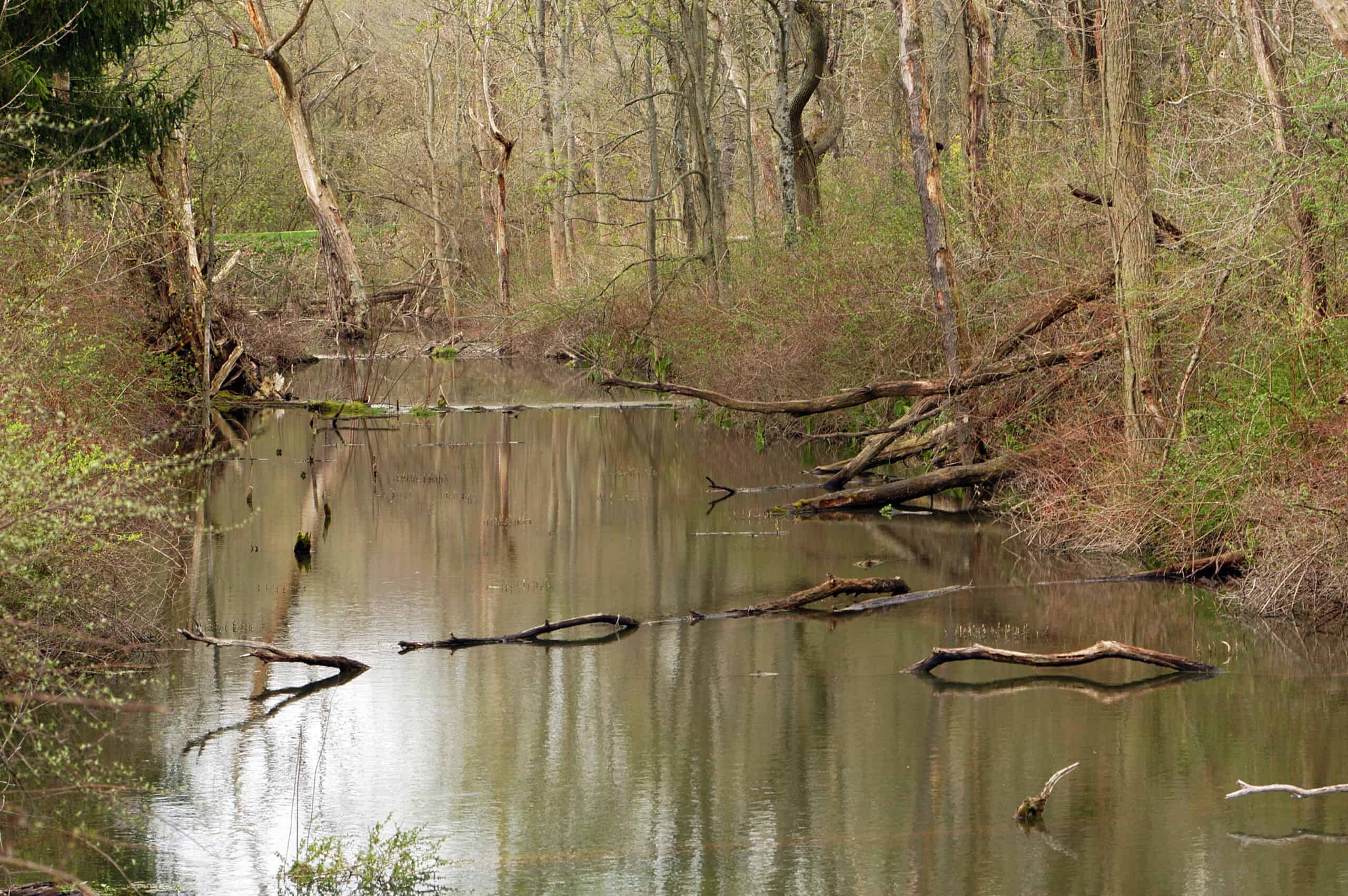 canal from economic development